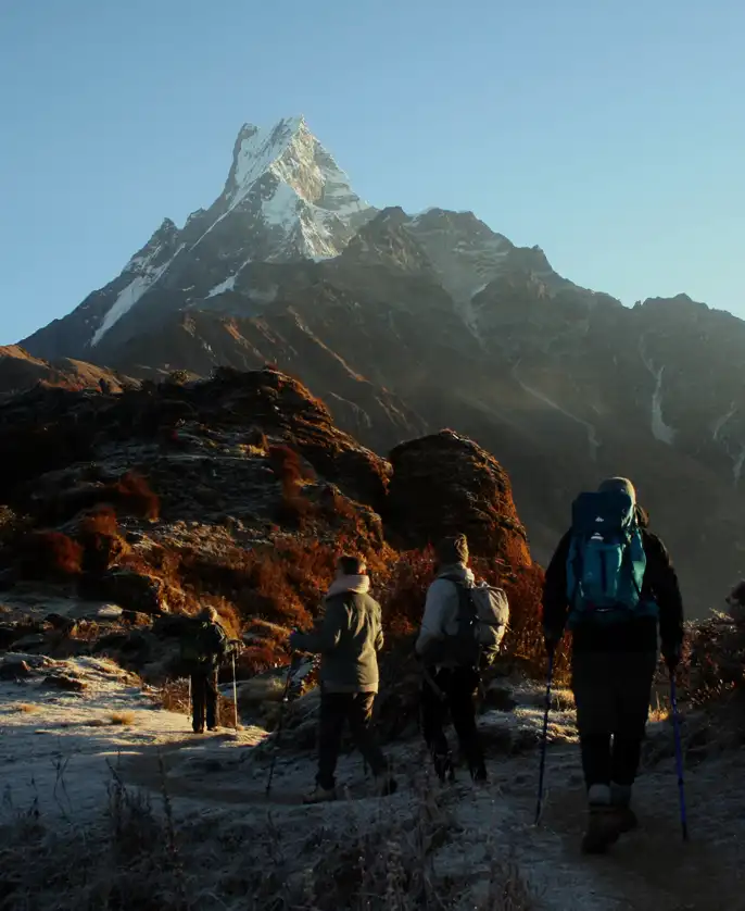 Mardi Himal Trek Nepal